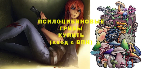 мет Алексин